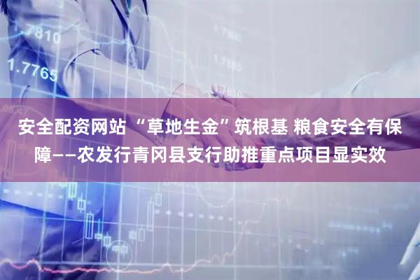 安全配资网站 “草地生金”筑根基 粮食安全有保障——农发行青冈县支行助推重点项目显实效