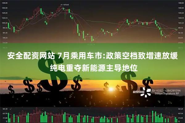 安全配资网站 7月乘用车市:政策空档致增速放缓 纯电重夺新能源主导地位