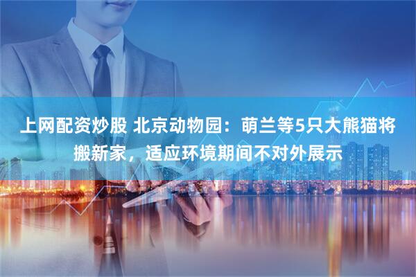 上网配资炒股 北京动物园：萌兰等5只大熊猫将搬新家，适应环境期间不对外展示